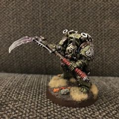 Typhus