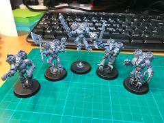 Wolf Guard Jump Pack 6 To 10.JPG