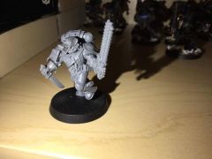 Wolf Guard Pack Leader