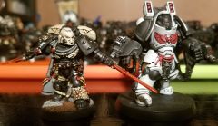Old Raven Guard and New Black Guard