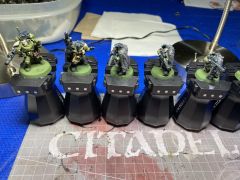 LT And Scouts WIP 1