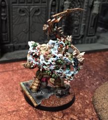 Prot Typhus Rear1