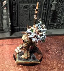 Prot Typhus Rear side2