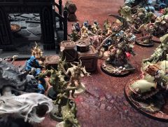 T4 Typhus