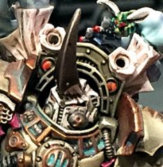 Prot Typhus Head