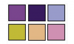 purple pallete