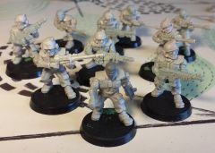 Brood brothers, first squad