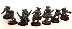 Assault Squad Sons of Tambelon 19.04.03