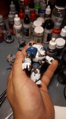 Contemptor w.i.p.