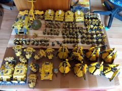 Imperial Fists 5th Company