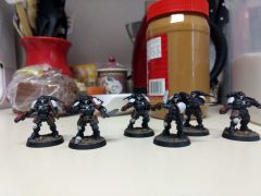 Finished Reivers