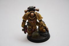 Imperial Fist Consul - Finished (1/4)