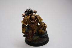 Imperial Fist Consul - Finished (3/4)