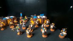 Sternguard with metal box