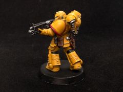 Imperial Fists Intercessors WIP 06 03