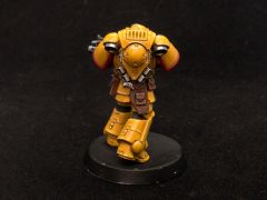 Imperial Fists Intercessors WIP 06 04