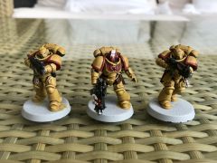 Imperial Fists Intercessors WIP 03