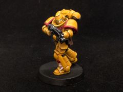 Imperial Fists Intercessors WIP 06 02