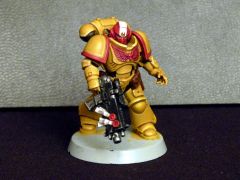 Imperial Fists Intercessors WIP 01