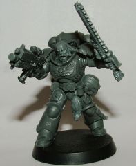 Primaris Space Wolf