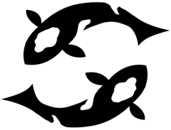 The Koi - Chapter Symbol BlackAlpha