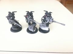 Raven Guard Suppressor Squad