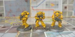 10 Imperial Fists Boloters
