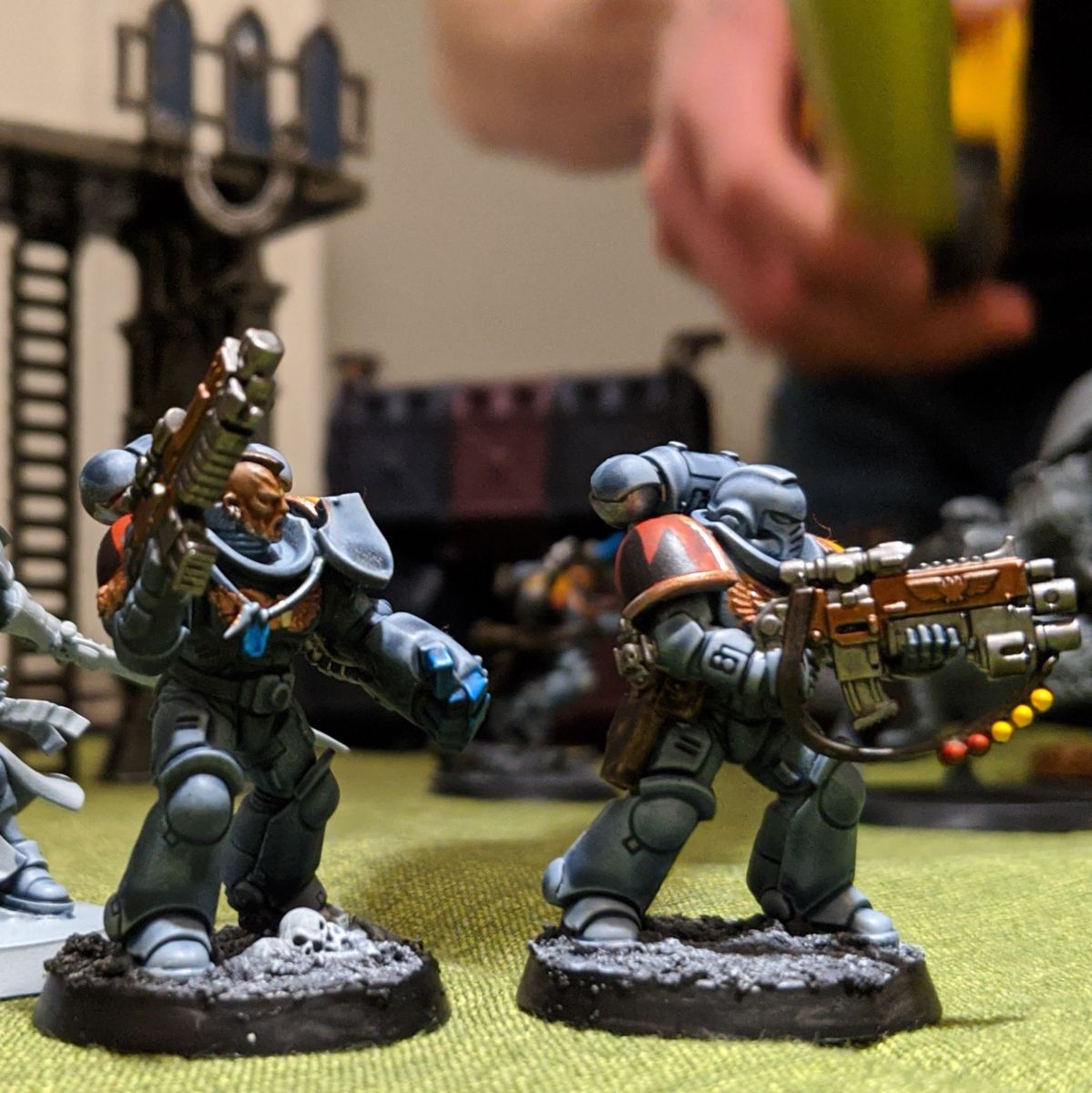 Contrast Space Wolves