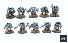 Space Wolves Wolf Guard Terminators #Syntwolves