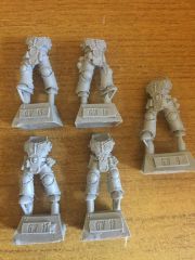 DA 30k - Interemptors - Torsos