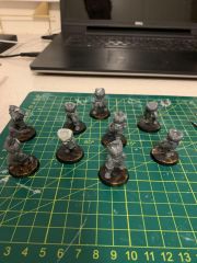 Wolf Scouts 1-1