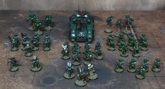 reduced Primaris 13.04.20