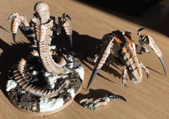 Trygon magnets