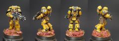 Imperial Fist