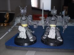 Grey knights truescale Terminators/Paladins