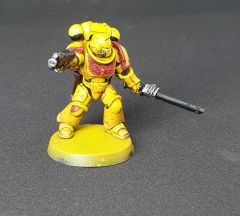 Imperial Fists 3rd company 