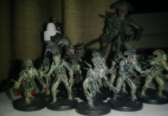 Xenostealer Brood 4