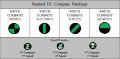 Sentinel IX Company Markings