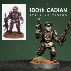 180th Cadian 'Stalking Tigers'