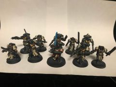Primarus Crusader Squad