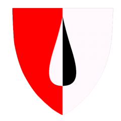Shield Campaign Badge 2   PNG