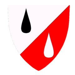 Shield Campaign Badge 1   PNG