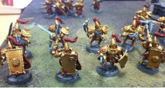 CUstodes Combat