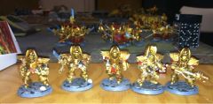 Custodes Termi Wflash