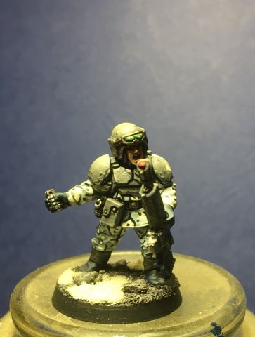 Some Blue and Camo Astra Militarum — Paintedfigs Miniature