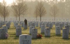 eagle On tombstone