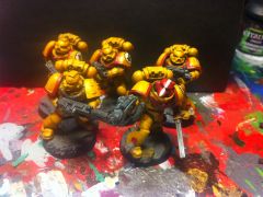 Imperial Fists Tactical Squad