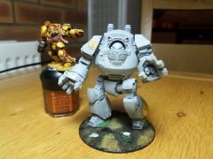 Contemptor 5