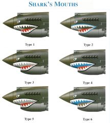 P40 SharkMouthTypes