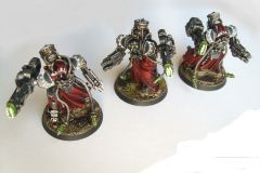 Myrmidon Destructors